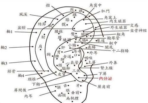 耳朵痣圖|女人右耳朵有痣图解 耳朵痣十大福痣图片